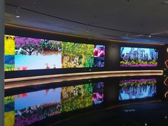 -云溪植物园