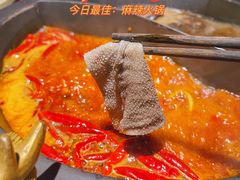 -蜀大侠火锅(四川北路店)