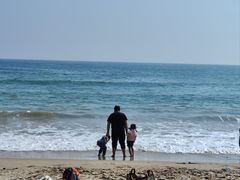 -西涌国际滨海旅游区