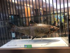 -得尔乐大酒店(南塘店)