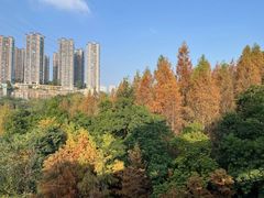 -重庆彩云湖湿地公园