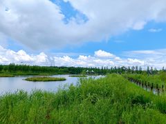 -呼兰河口湿地公园
