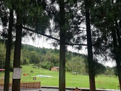 -武陵山森林公园