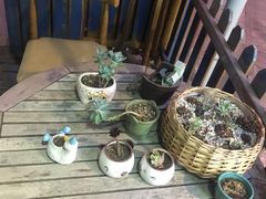 -84那年咖啡馆(李沧万达店)