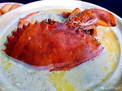 砂锅螃蟹汤米粉-龙海鲜螃蟹王(宏茂桥店)