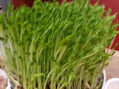 -好彩猪肚鸡(正弘城店)