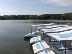 -昆山城市生态森林公园