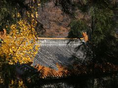 -潭柘寺景区