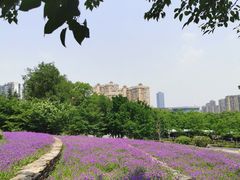 -武汉园博园(武汉自然博物馆)