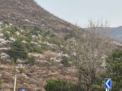 -妙峰山风景名胜区