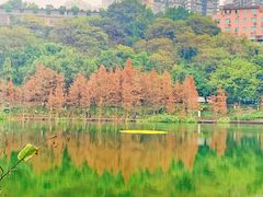 -重庆彩云湖湿地公园