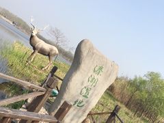 -溱湖国家湿地公园