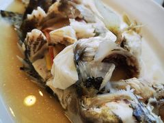 清蒸鲑鱼-晋阳饭庄(虎坊桥店)