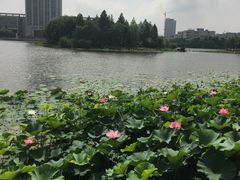 -江南大学(蠡湖校区)