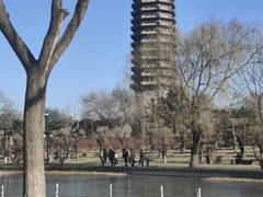 -西海子公园