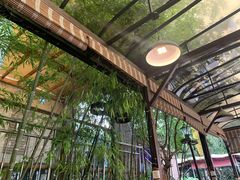-先机泉水鸡汤(南山老君洞店)