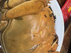 酒香膏蟹-谢记上海大排档(长寿路店)