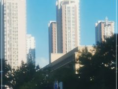 -青岛市图书馆