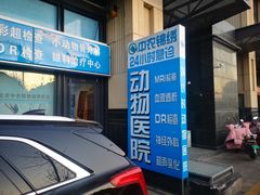 -喜多萌中农锦绣动物医院24H·猫科·牙科MRI·CT