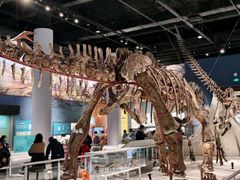 -国家自然博物馆