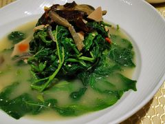 上汤桑叶-巴扎美食·新疆菜·西域歌舞表演餐厅(新疆大厦店)