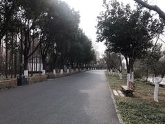 -东湖落雁景区