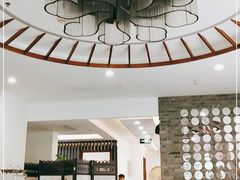 -食神鱼头佛跳墙(百子湾旗舰店)