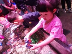 -沈阳海洋探索中心