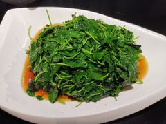 -精典一号民间菜