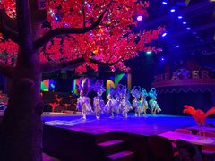 -上海宋城带餐秀·热情桑巴