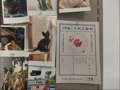 -山宅一喵德文卷毛猫舍