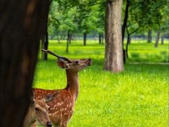 -承德避暑山庄景区