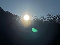 -东天目山风景区