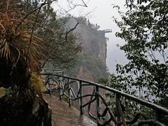 -龙湾潭国家森林公园