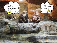 -北京野生动物园