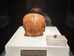 -安徽博物院新馆
