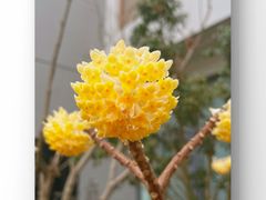 -长广溪湿地公园