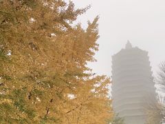 -玲珑塔公园