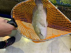 -欢乐海岸美食联盟