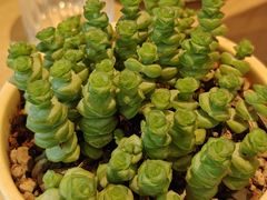-龙治汉堡(中华城店)