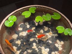 -曲水兰亭(北京四惠店)