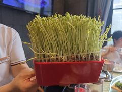 -番食园鲜食火锅(高新店)