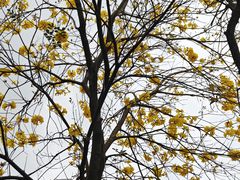 -中国移动南方基地