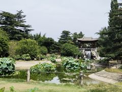 -国家植物园南园