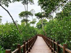 -东寨港红树林旅游区