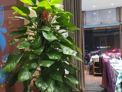 -紫光园(燕郊总店)