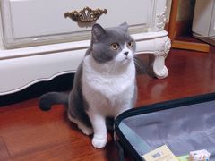 -大玩家(芝罘万达广场店)