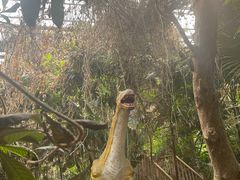-呀路古热带植物园