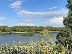 -素心小筑(后沙裕镇店)