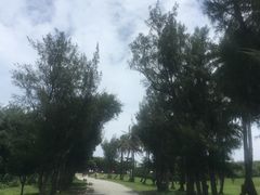 -鹅銮鼻公园